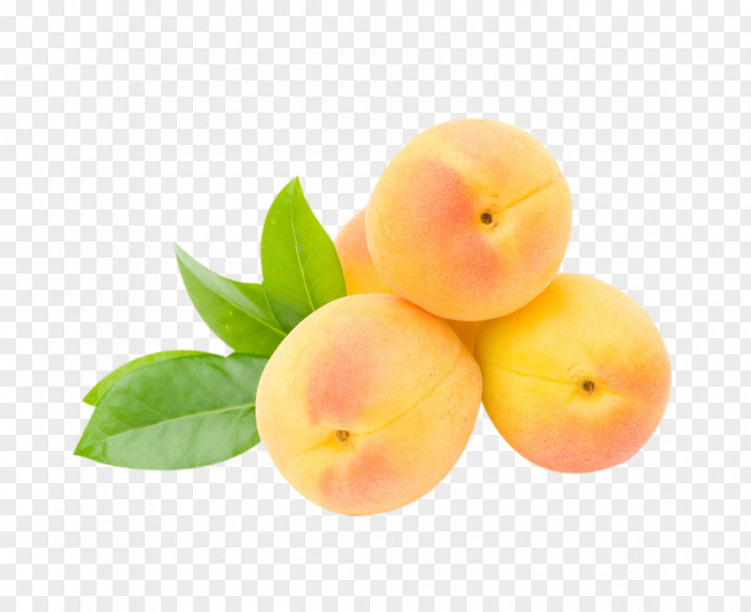Apricots Peach Nutrient Apricot Fruit Food PNG