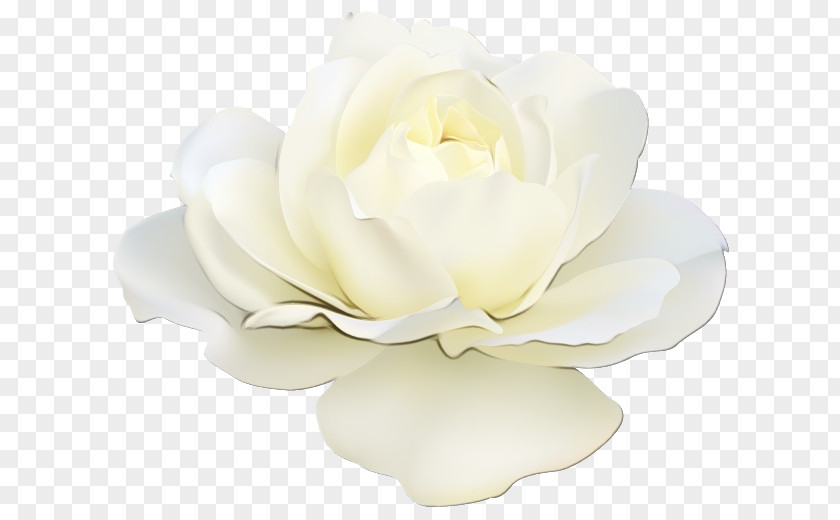 Artificial Flower Candle PNG