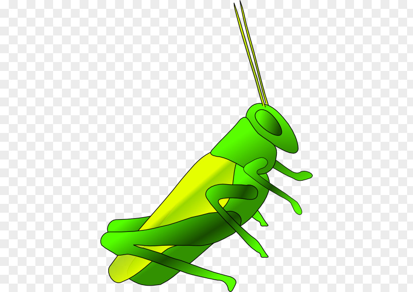 Cartoon Cricket Jiminy Clip Art PNG