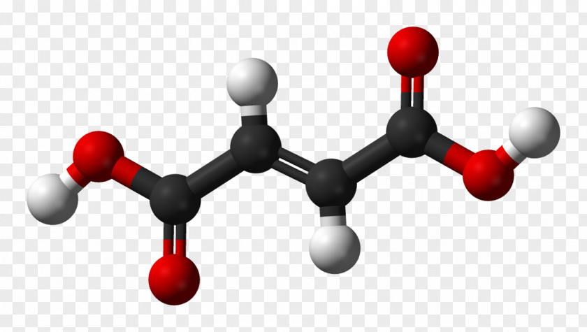 Fumaric Acid Pyruvic Oxaloacetic Malic Carboxylic PNG