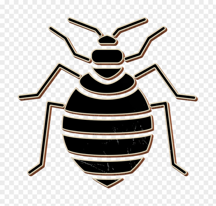 Insects Icon Bed Bug PNG