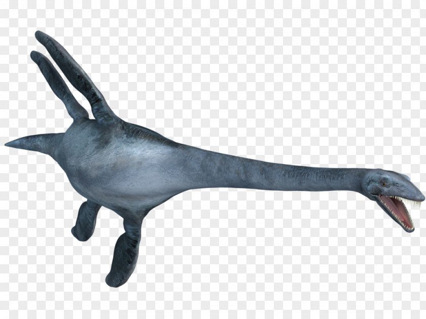 Look Elasmosaurus Plesiosauria Mosasaurus Tylosaurus Late Cretaceous PNG