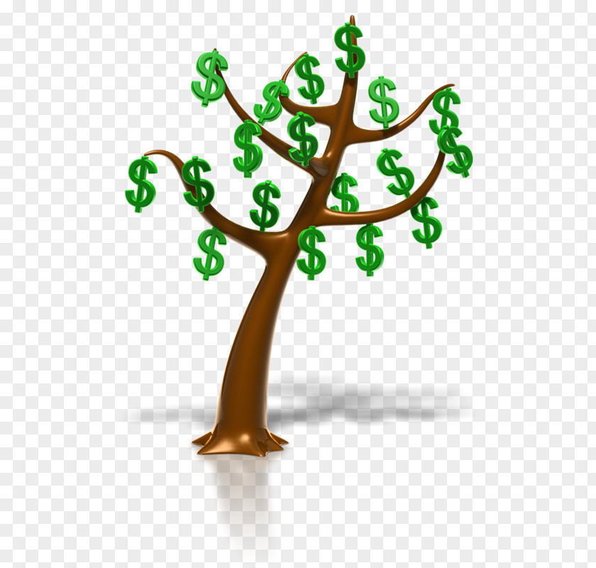 Money Tree Animation Business Investment Finance PNG