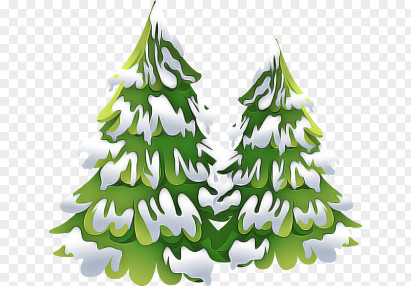 Spruce Shortleaf Black Christmas Tree PNG