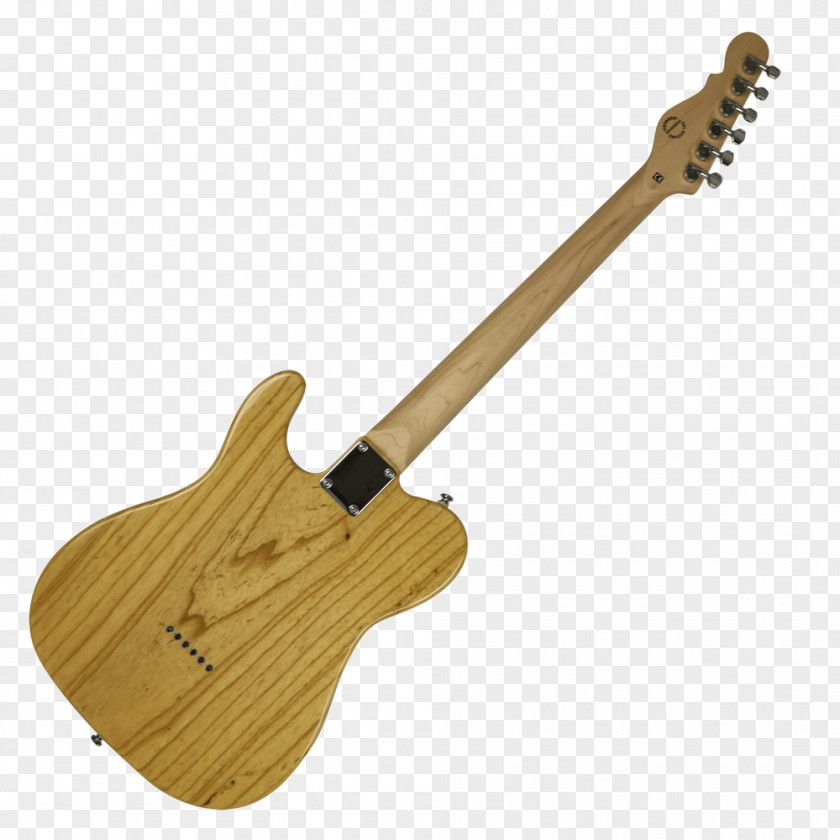 Bass Guitar Acoustic-electric Acoustic PNG