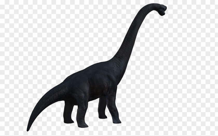 Dinosaur Creative Field Museum Of Natural History Brachiosaurus Silhouette PNG