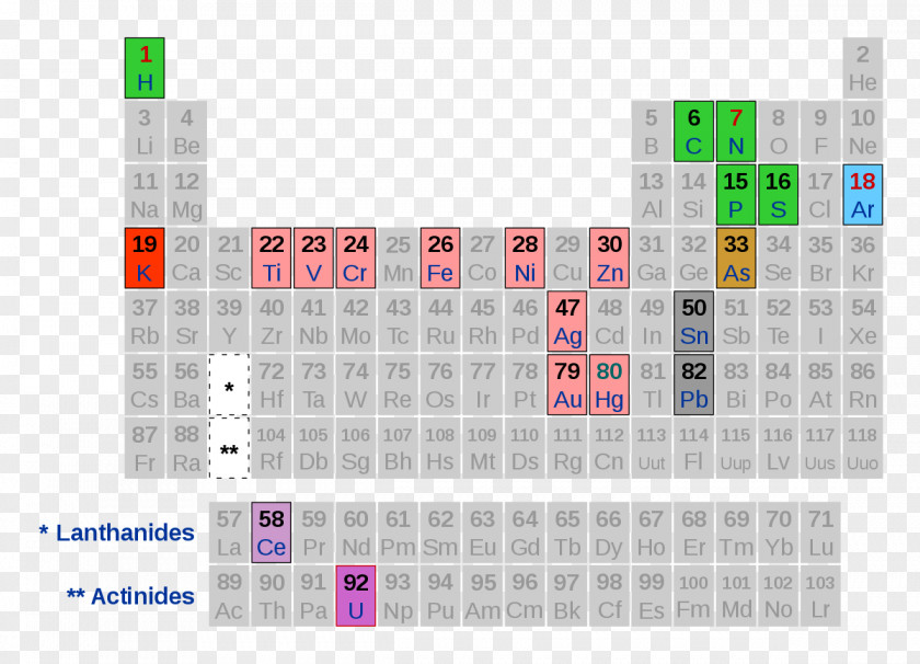 Ero The Periodic Table Intimzone: Das Frauenkörpernutzungshandbuch Chemistry Book PNG