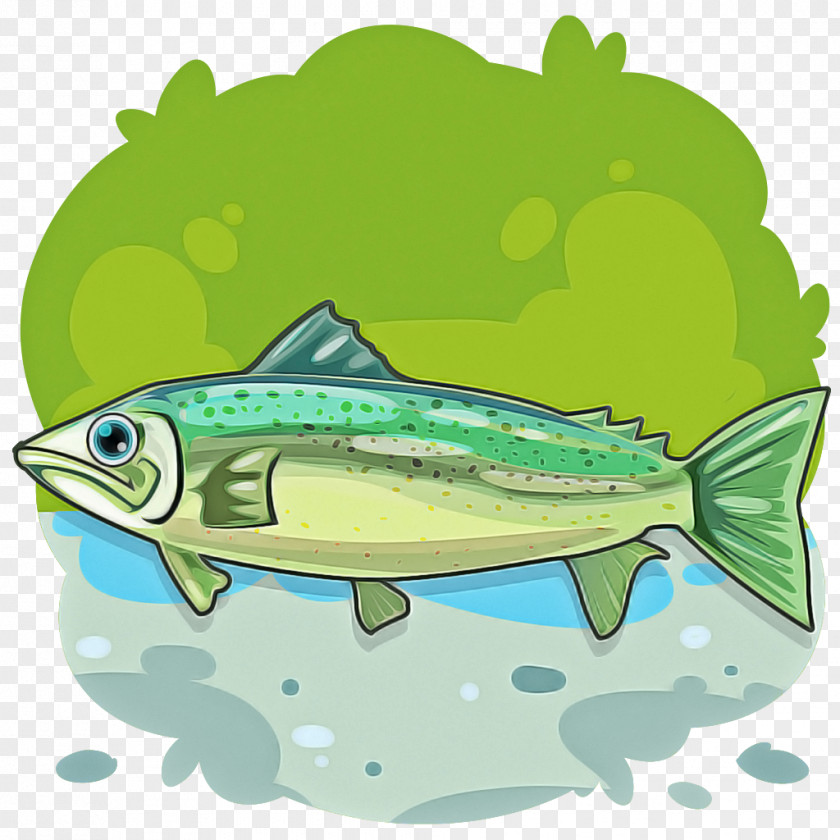 Fish Mahi Bony-fish Salmon PNG