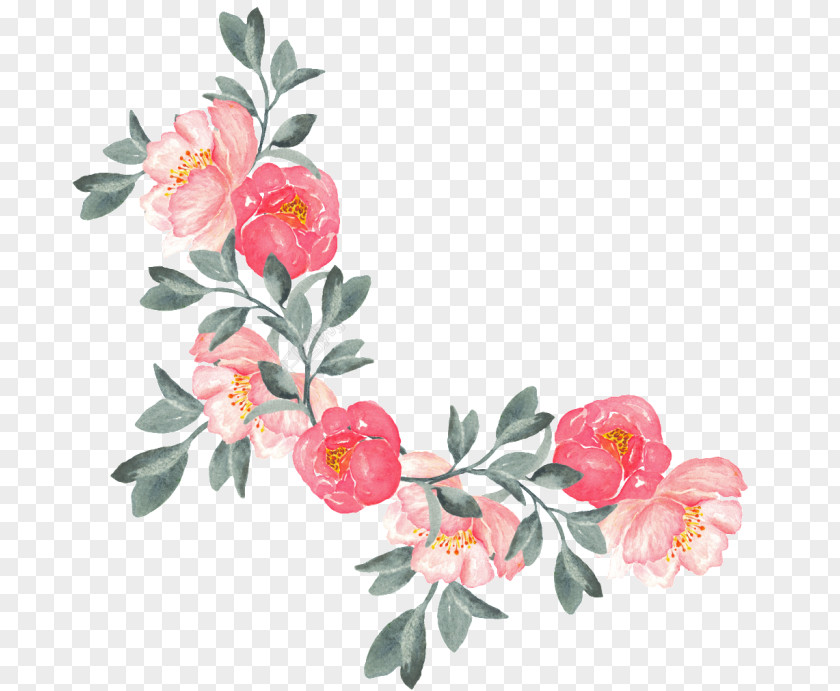 Flower Floral Illustrations Design Image PNG
