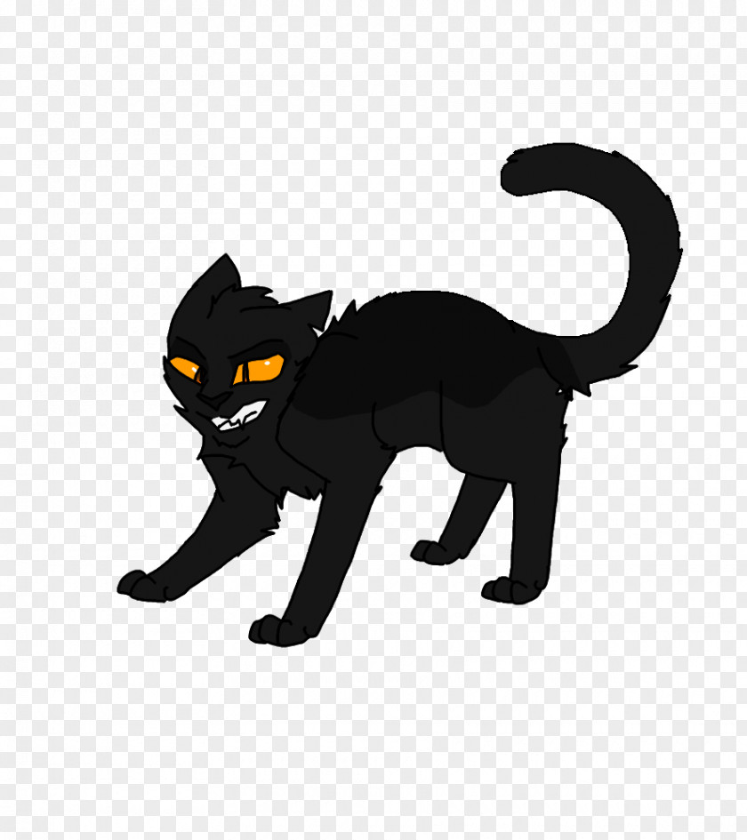 Kitten Domestic Short-haired Cat Whiskers Breezepelt PNG