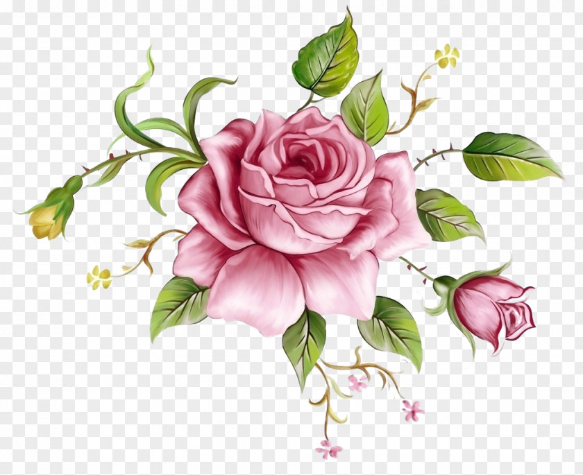 Pink Flowers Background Decoration 2 Beach Rose Flower Blue Painting Clip Art PNG
