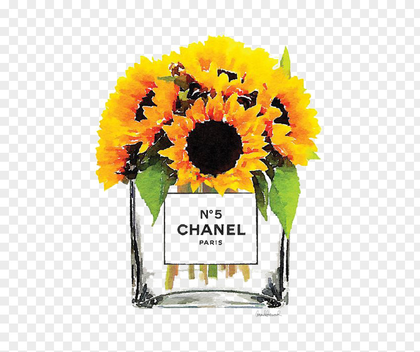 Sunflower Chanel Common Flower Bouquet Stock Photography PNG