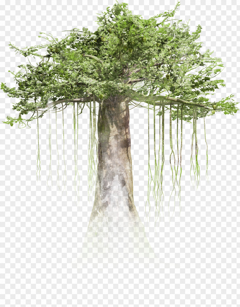 Forrest HTC Vive Virtual Reality Tree Immersion Film PNG