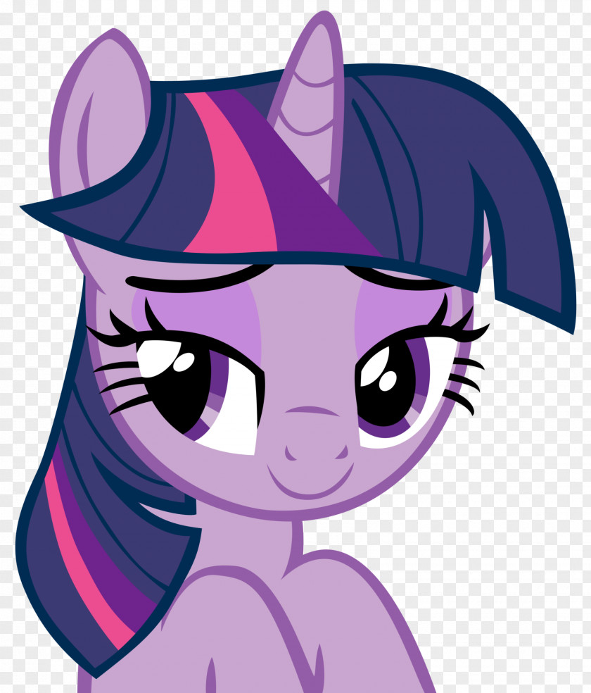 Sparkle Twilight Applejack Pony Rainbow Dash Spike PNG
