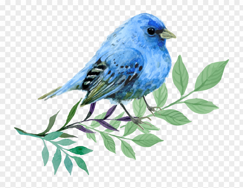 Bird Bluebirds Image Watercolor Painting PNG
