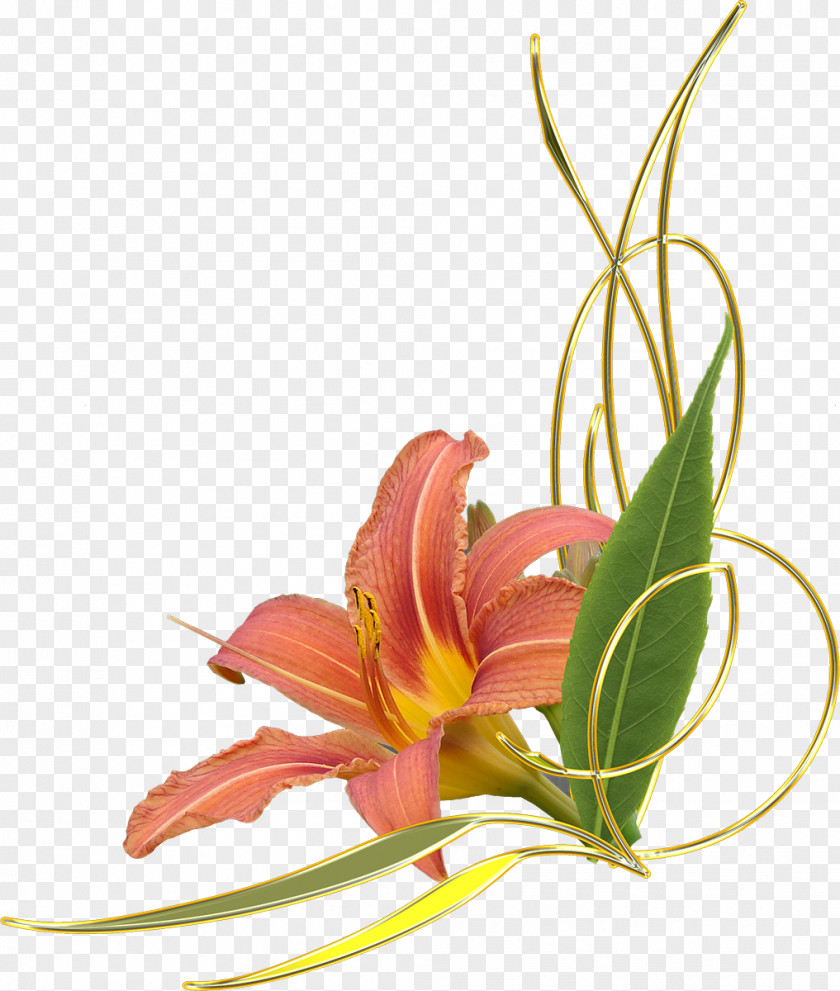 Flower Lilium Cut Flowers Clip Art PNG
