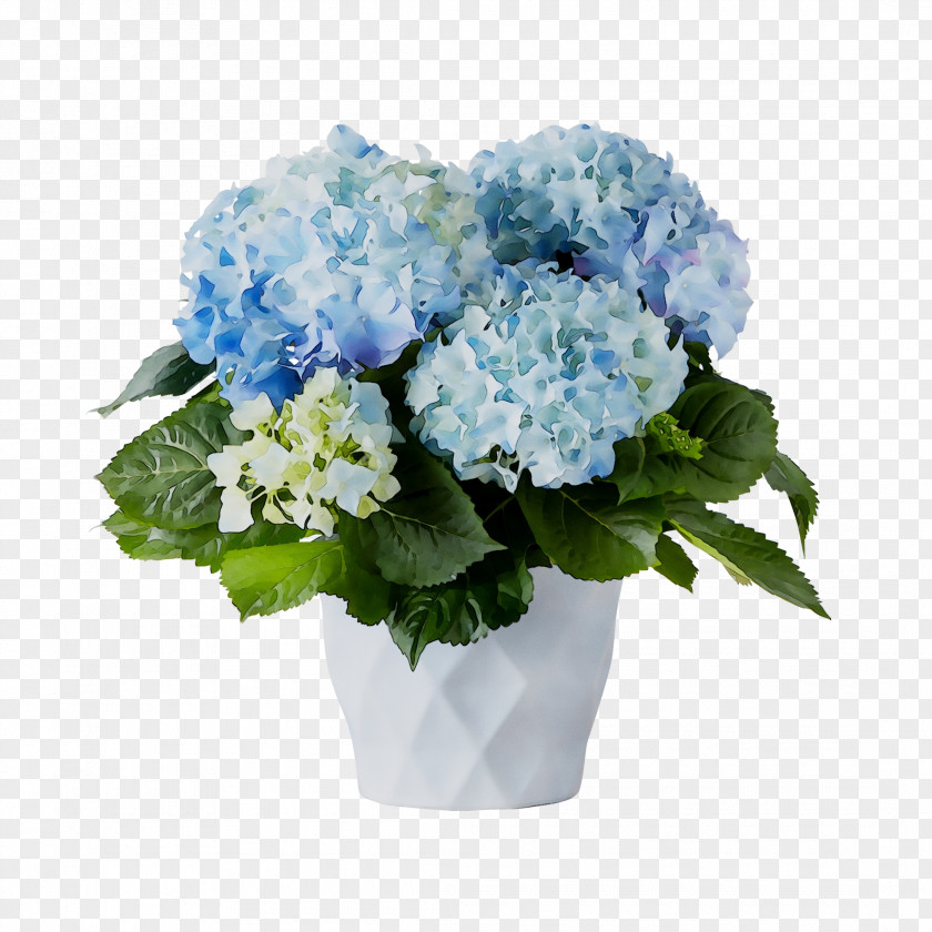 Hydrangea Floral Design Cut Flowers Flower Bouquet PNG