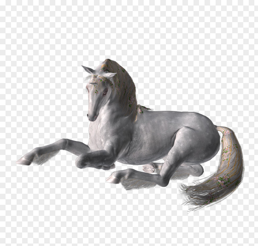 Mustang Stallion Mane Freikörperkultur Legendary Creature PNG
