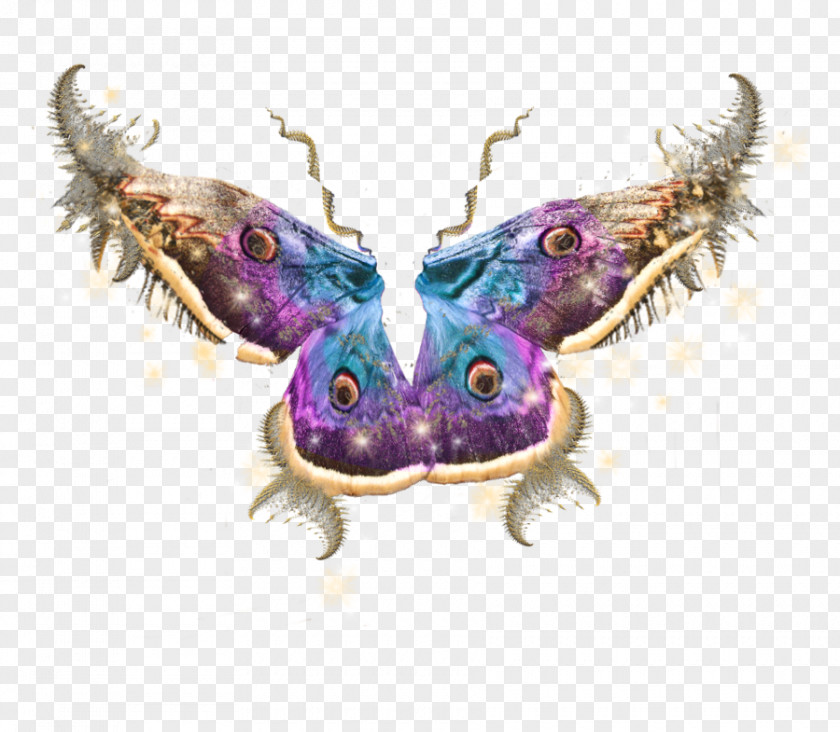 Painting Autumn Fairy Wings Butterfly Tooth Clip Art PNG