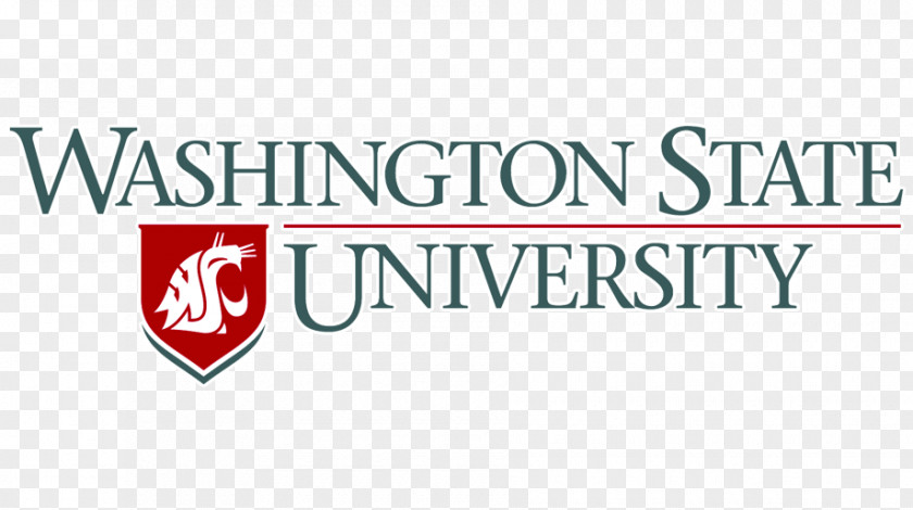 School Voiland College Of Engineering And Architecture University Washington Master's Degree PNG