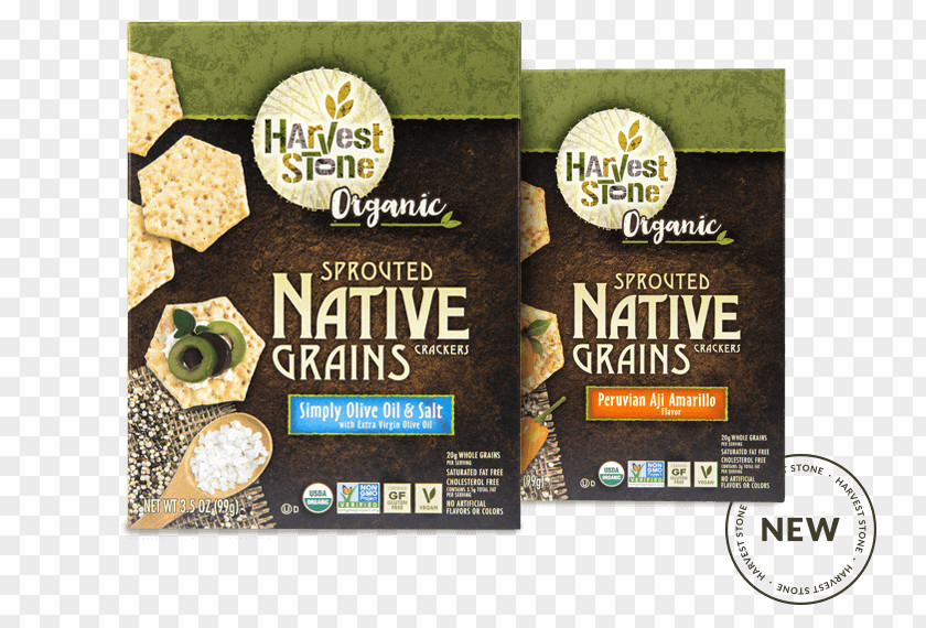 Sprouted Bread Th Foods Inc. Organic Food Brand PNG