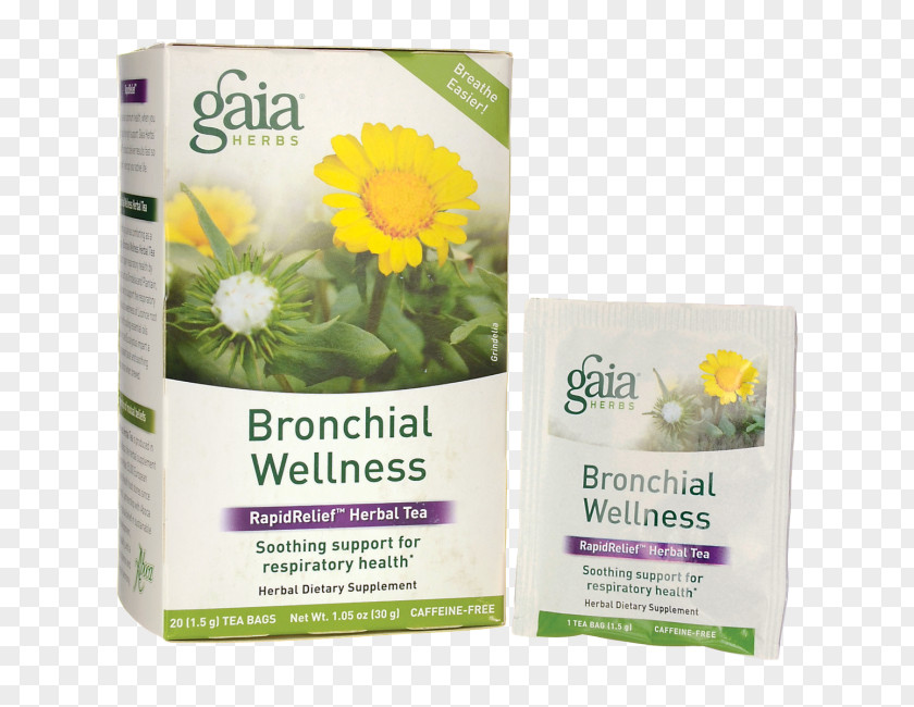 Tea Herbal Bag Health, Fitness And Wellness PNG