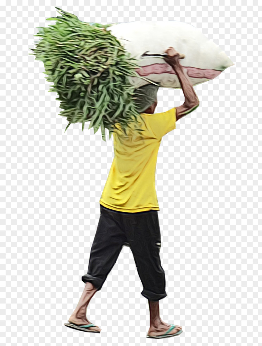 Tshirt Vegetable Male Standing Costume Plant Tree PNG