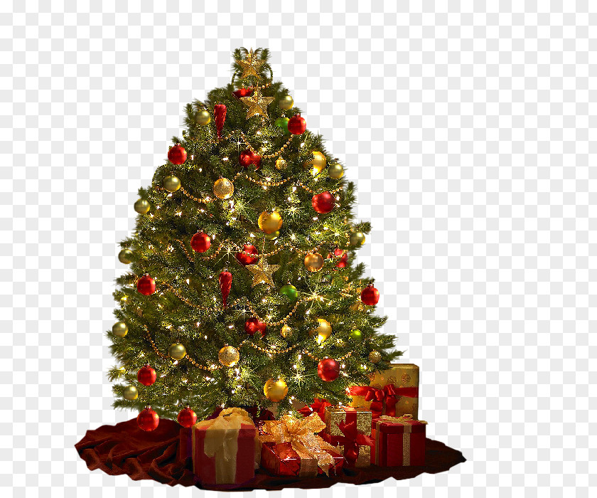 Christmas Decoration Leaves Tree Ornament A Carol PNG