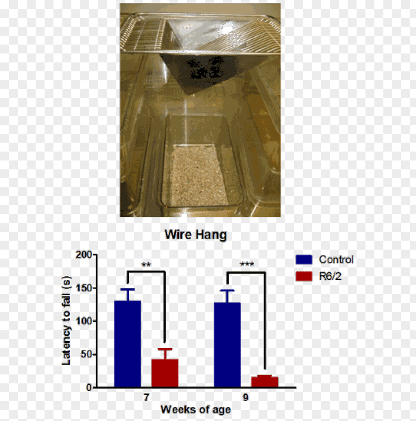 Color Paperrplanes Genetically Modified Mouse Wire Test Rat PNG