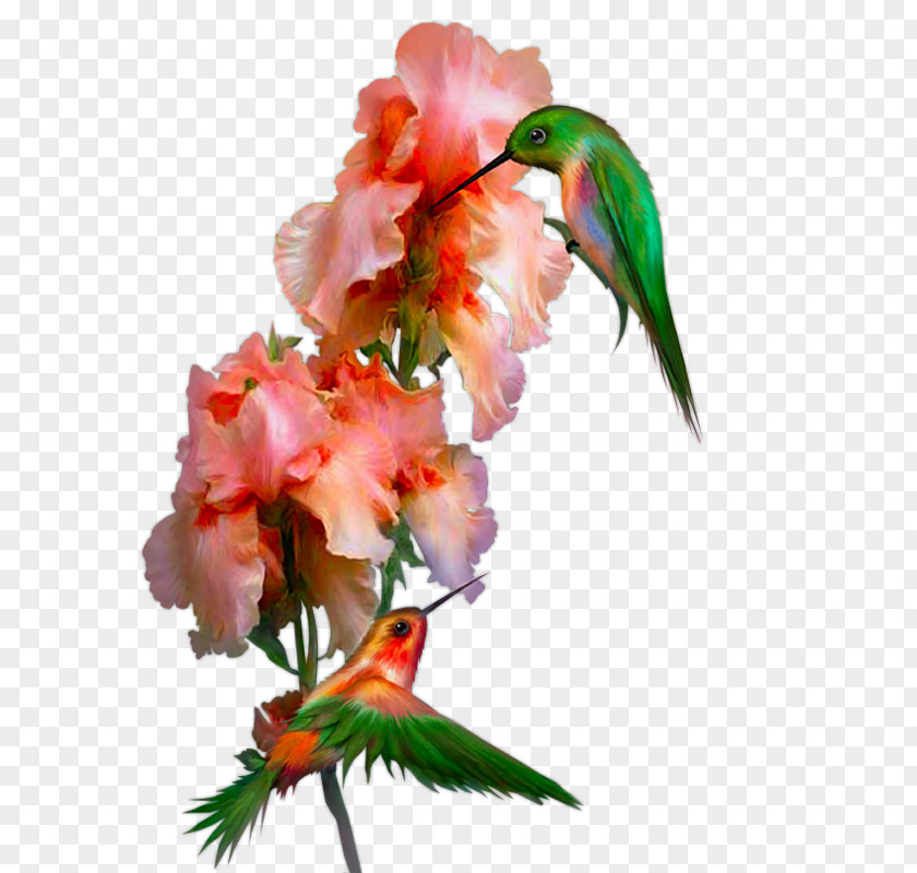 Flower-and-bird Flower Shabbat PNG