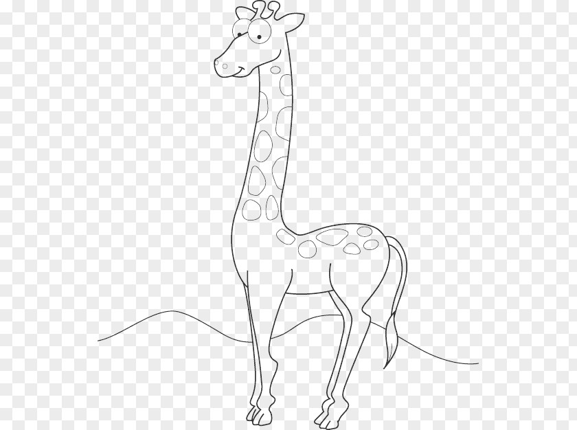 Giraffe Drawing Line Art Northern Animal PNG