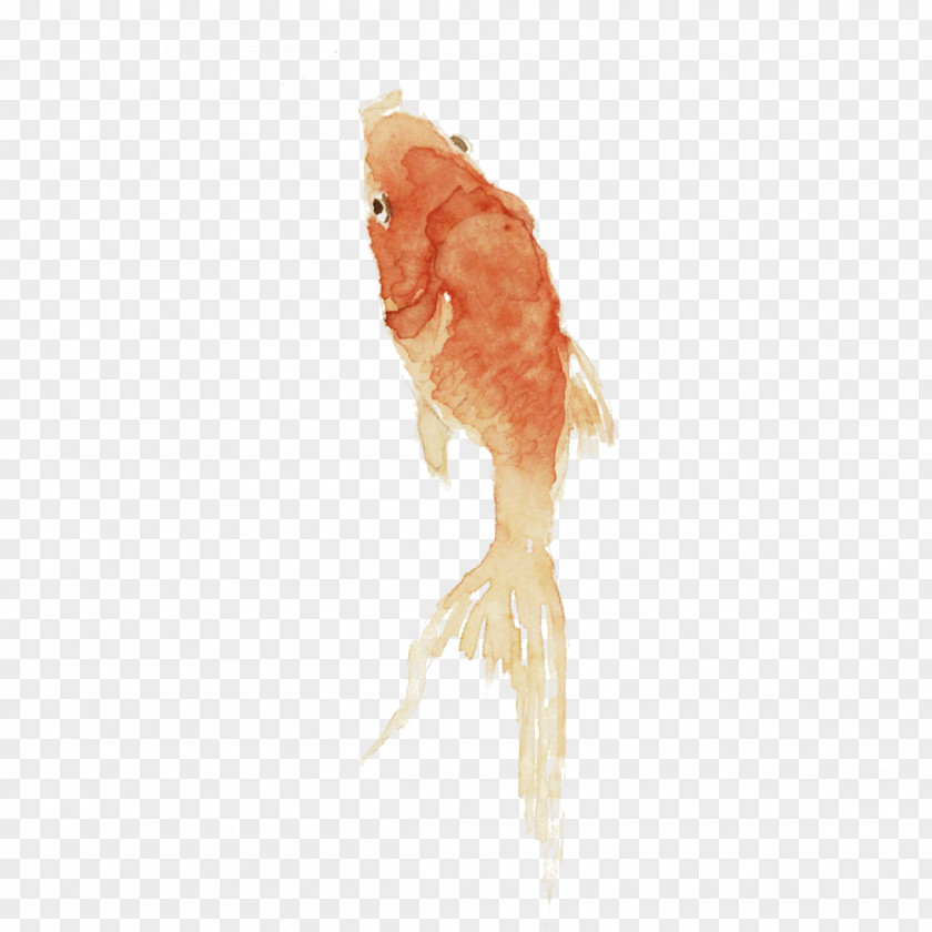 Goldfish Swimming Animal PNG