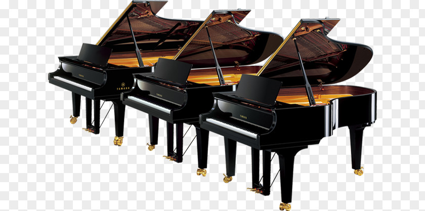 Piano Performances Grand Yamaha Corporation Musical Instruments PNG