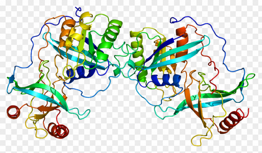 Planar Virus Cell Bodies RANBP2 Protein Nucleoporin Karyopherin PNG