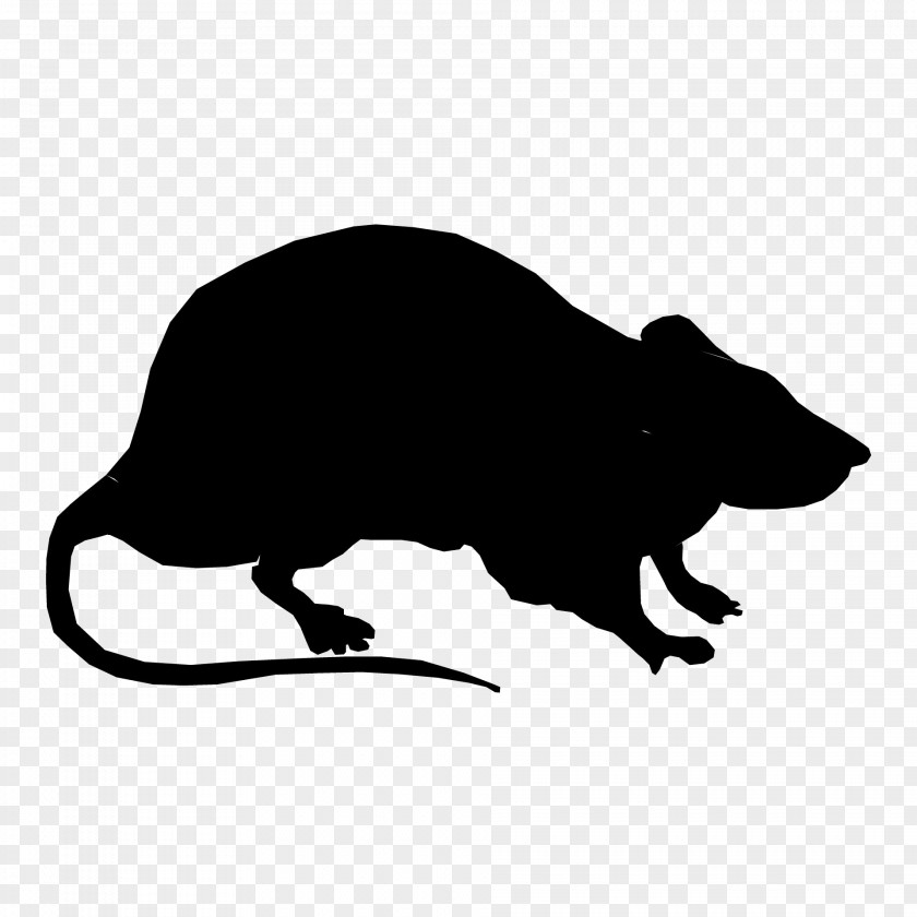 Rat Clip Art Vector Graphics Image Openclipart PNG