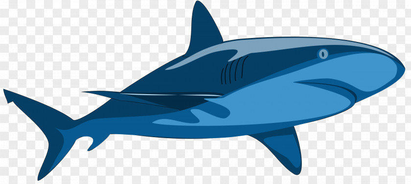 Sharks Shark Jaws Whale Clip Art PNG