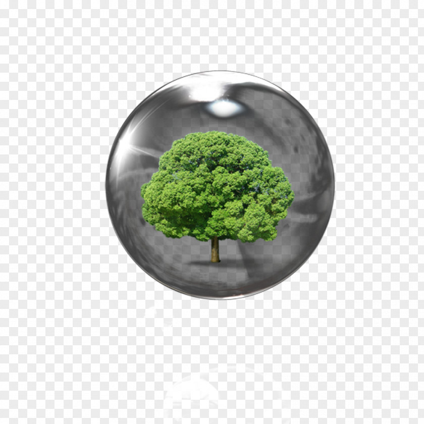 Ball In The Trees Download PNG