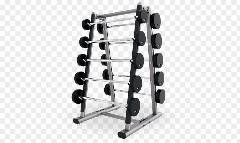 Barbell Weight Training Bench Exercise Equipment Fitness Centre PNG