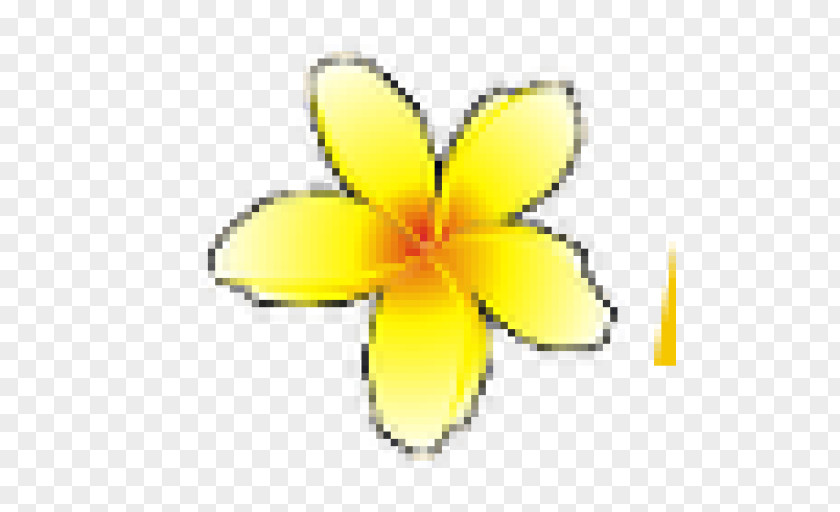 Insect Cut Flowers Symbol Petal PNG