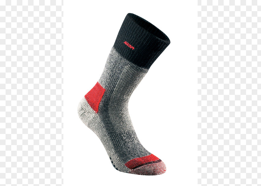 Long Socks Sock Sport Clothing Technology Thorlo Inc. PNG