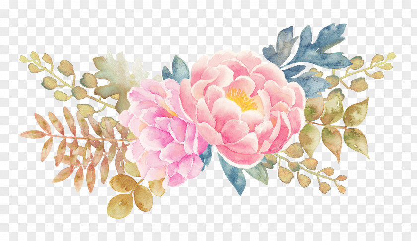 Peony Flower Watercolor Painted Floral Elements Painting PNG