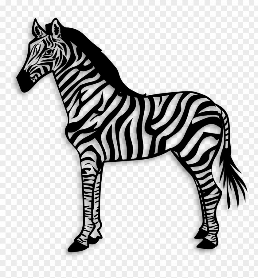 Pony Quagga Mustang Zebra Area PNG