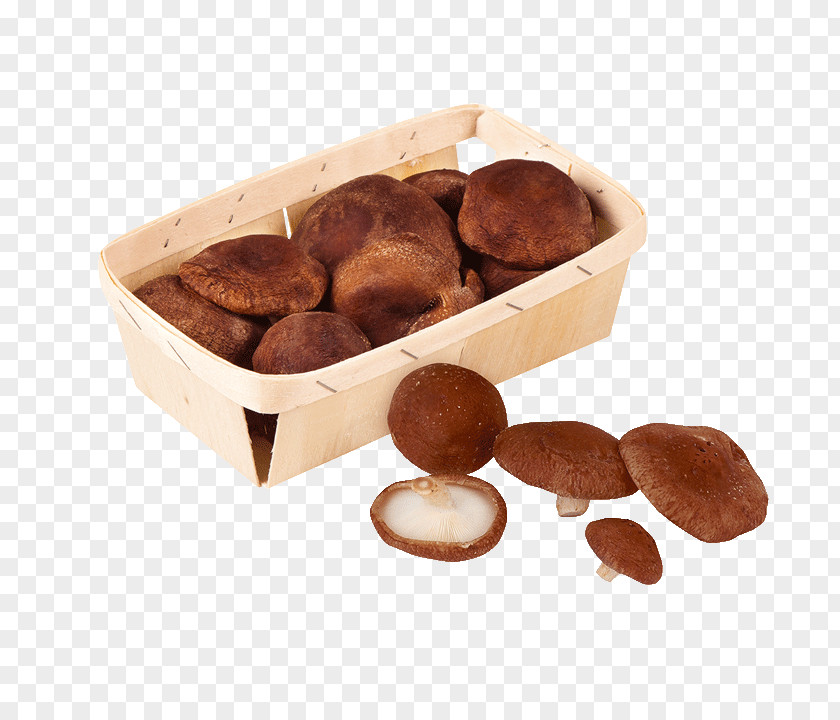 Shiitake Fungus Edible Mushroom Ja! Natürlich Chocolate Truffle PNG