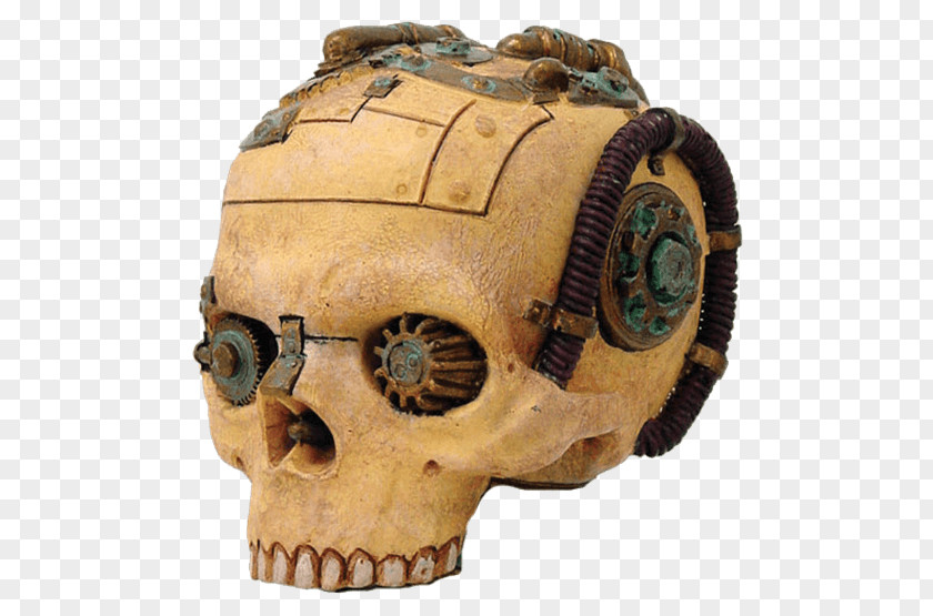 Skull Statue Human Skeleton Figurine Steampunk PNG