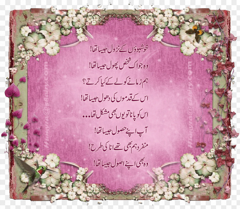 Urdu Poetry Picture Frames Photography PNG