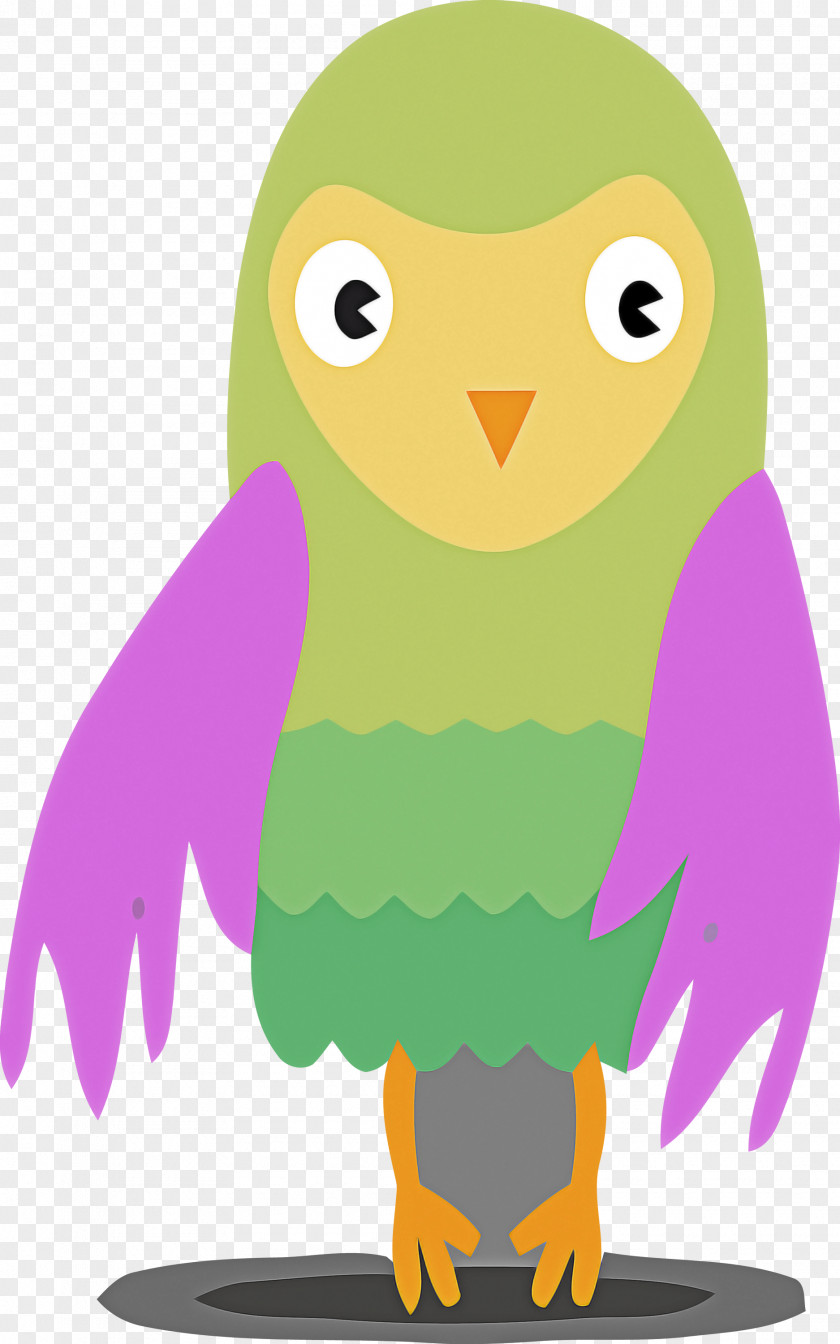 Bird Cartoon Owl Of Prey Beak PNG