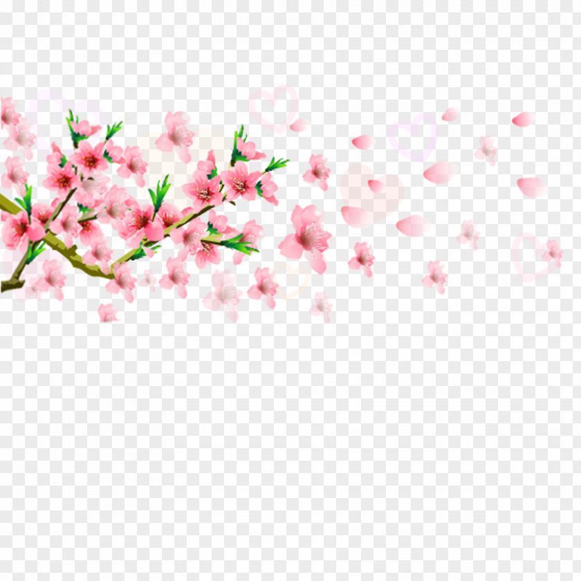 Flower Element Blossom PNG
