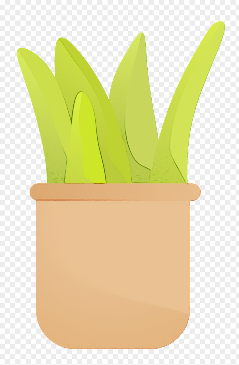 Green Flowerpot Fruit PNG