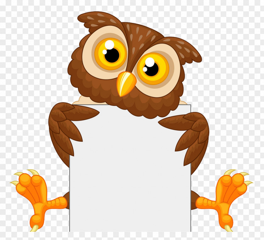 Owl Royalty-free Cartoon Illustration PNG