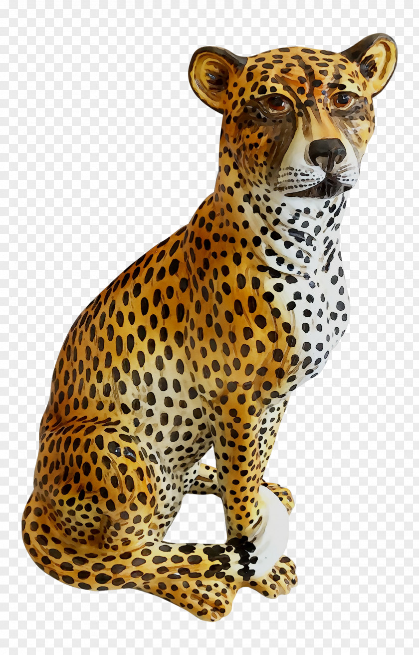 Cheetah Leopard Jaguar Cat Terrestrial Animal PNG